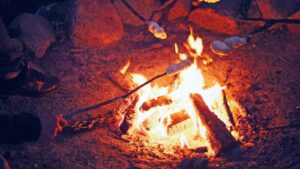 Several Arizona recreation areas easing fire restrictions after getting rain