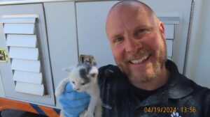Arizona Humane Society rescues two kittens from walls, encourages community to foster