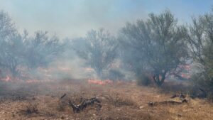 Evacuations lifted after crews stop spread of 2 wildfires southeast of metro Phoenix