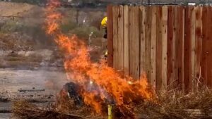 Phoenix Fire Department responded to 207 calls for service involving fires this Fourth of July