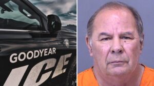 Goodyear man told police he killed wife to end her pain and suffering, according to court records