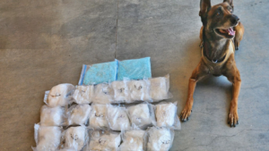 Prescott Valley PD K9 Kato locates assortment of meth, fentanyl during traffic stop
