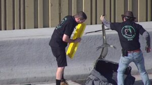 Large lizard seen crawling along Phoenix freeway during rush hour