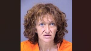 Woman accused of $400,000 in medical fraud identity theft arrested in Phoenix