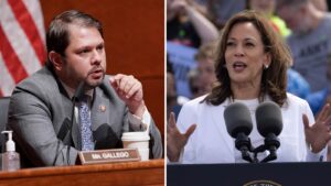New poll for Arizona shows Democrats Kamala Harris, Ruben Gallego leading races