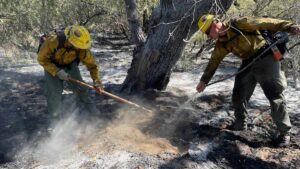 What caused destructive Rose Fire near Wickenburg? Investigators release findings