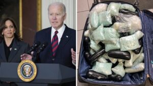 DHS says new Biden-Harris executive action could help fight flow of fentanyl over border