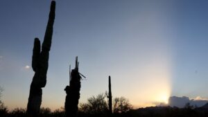 Phoenix's record-breaking streak of 100-degree days comes to an end