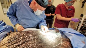 Phoenix Zoo urges public to donate to meet $6.2M goal for new veterinary medical center