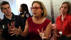 Sen. Kyrsten Sinema hopes bipartisan immigration bill gets new life beyond her tenure