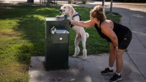 Phoenix reaches daily heat record for 10th consecutive day