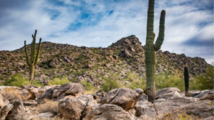 Phoenix adding South Mountain to trails closed during times of excessive heat