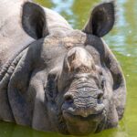 Zoo-gallery-2