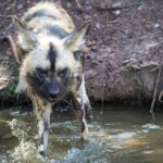 Zoo-gallery-3
