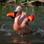 Zoo-gallery-4