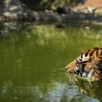 Zoo-gallery-6