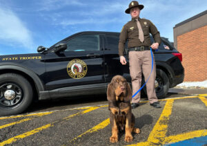 They have a nose for finding people. Bloodhounds and their low-tech sniffers help police track