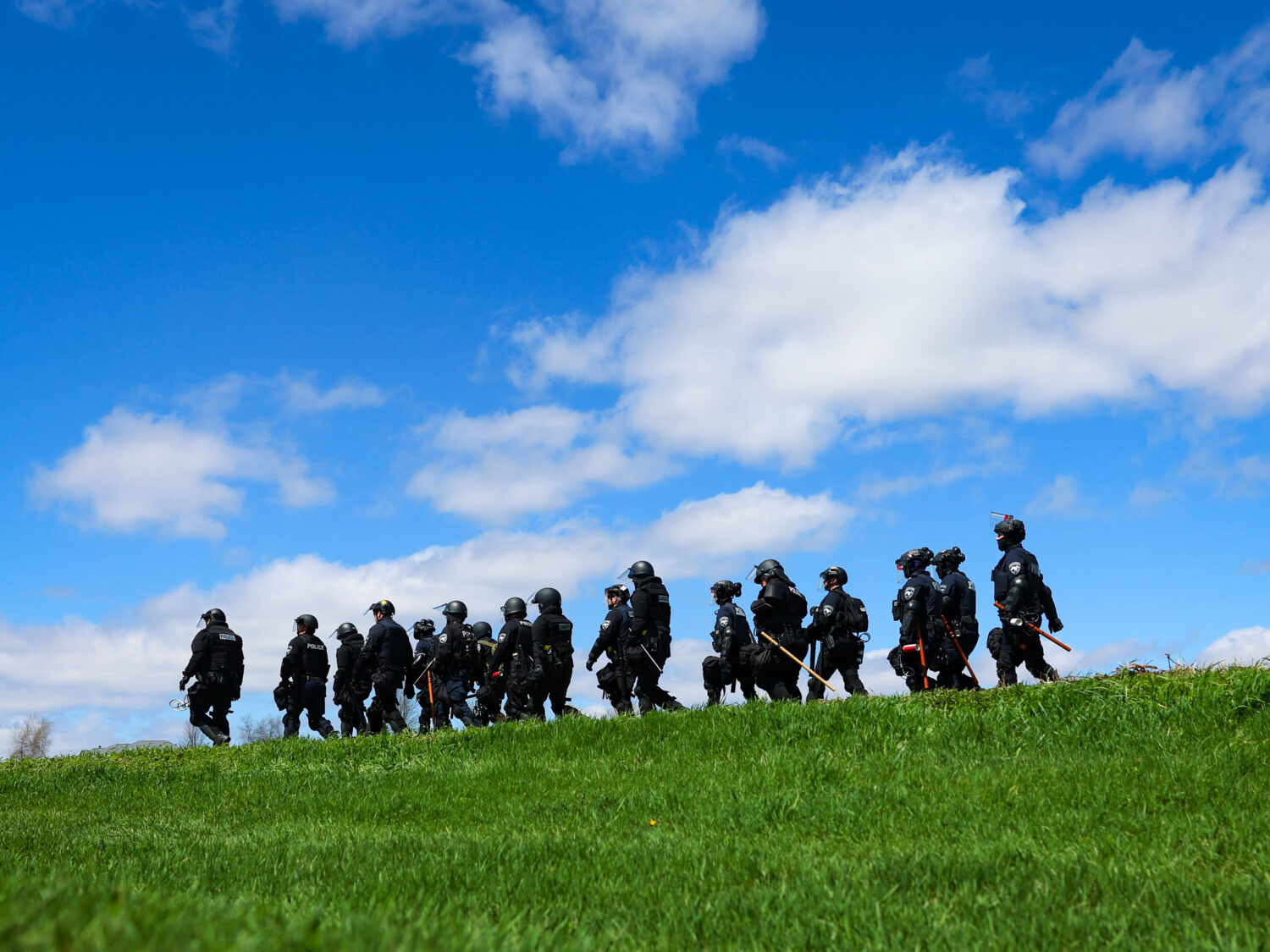 Law enforcement in riot gear walk in a field after animal welfare activists attempted to gain entry...