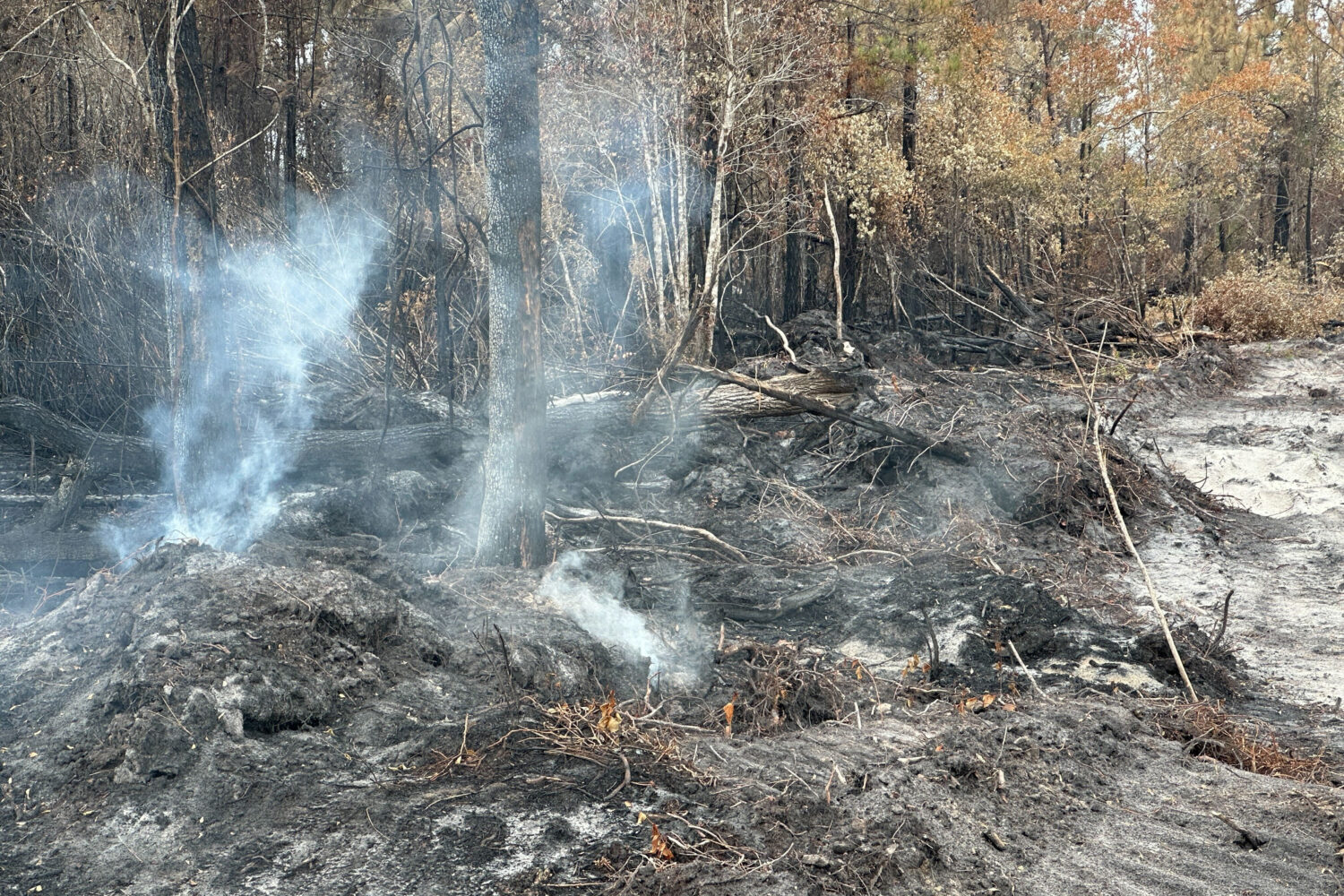 Blackened trees and charred palmetto fronds lined the shoulders of U.S. 82 on Monday, April 27, 202...