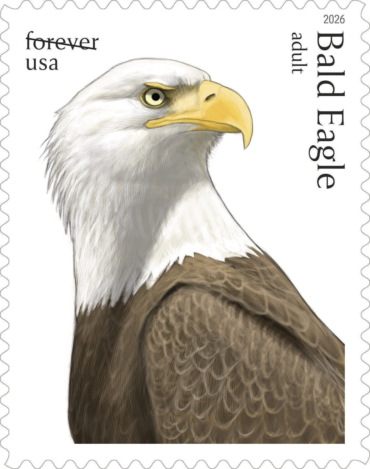 This image provided by the United States Postal Service shows a new stamp being released Thursday, ...