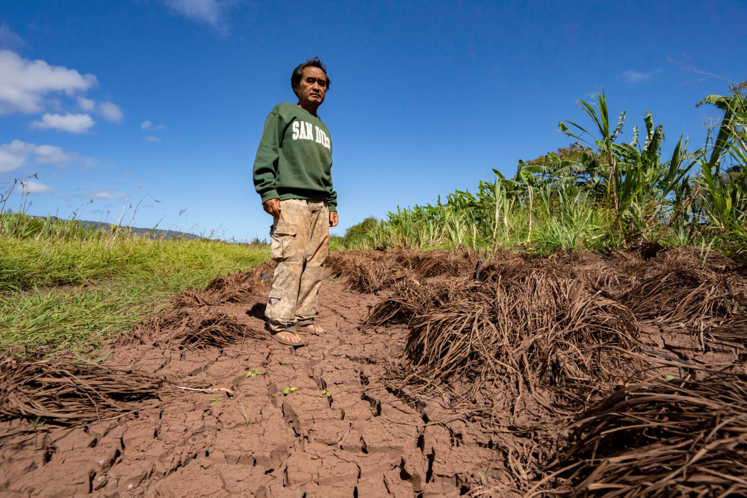 Bok Kongphan poses for a photo at his farm, Monday, May 4, 2026, in Waialua, Hawaii. (AP Photo/Meng...