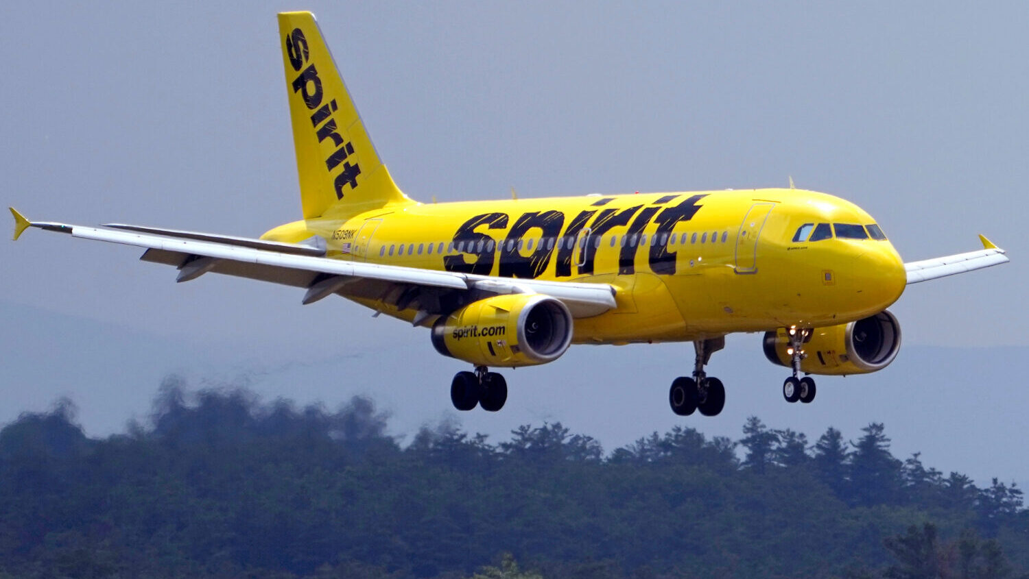 Spirit Airlines...