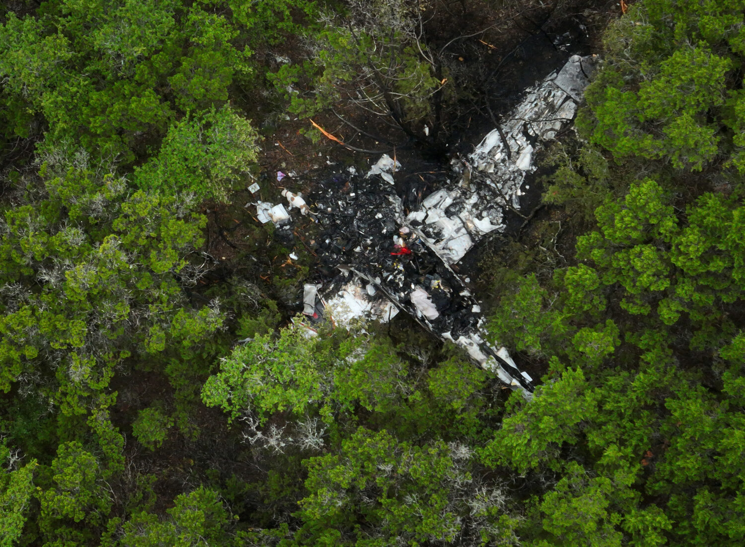 A crashed Cessna airplane is seen in a wooded area on Round Rock Road in Wimberley, Texas, Friday, ...