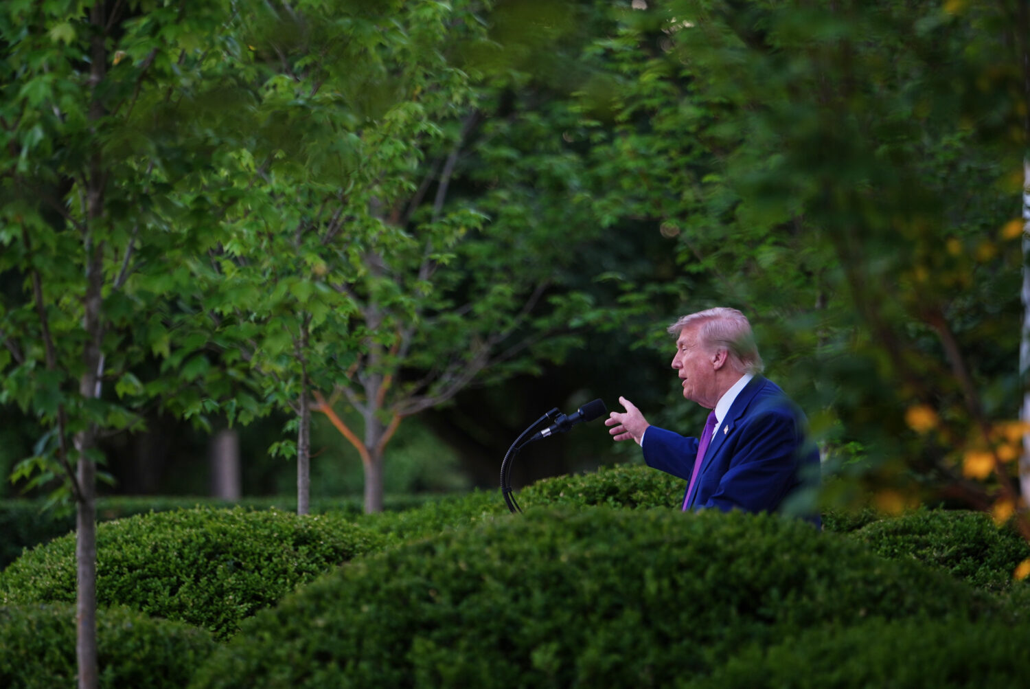 President Donald Trump speaks at a dinner for members of his administration and law enforcement org...
