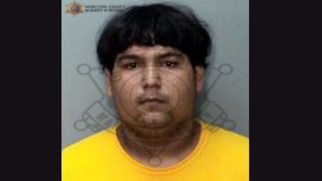 Teen charged as adult in Phoenix mall shooting case...
