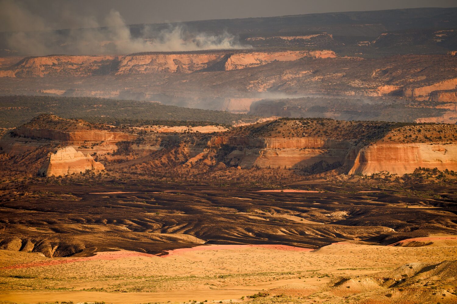 Smoke rises from the Snyder Fire burning near Thompson Springs, Utah, on Sunday, June 28, 2026. (AP...